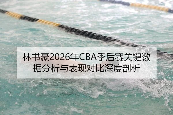 林书豪2026年CBA季后赛关键数据分析与表现对比深度剖析