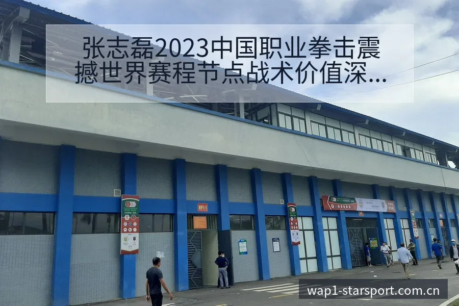 张志磊2023中国职业拳击震撼世界赛程节点战术价值深度分 - 星空官网