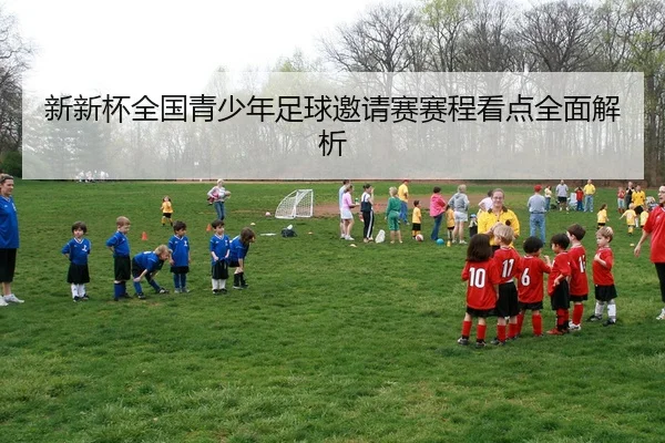 新新杯全国青少年足球邀请赛赛程看点全面解析
