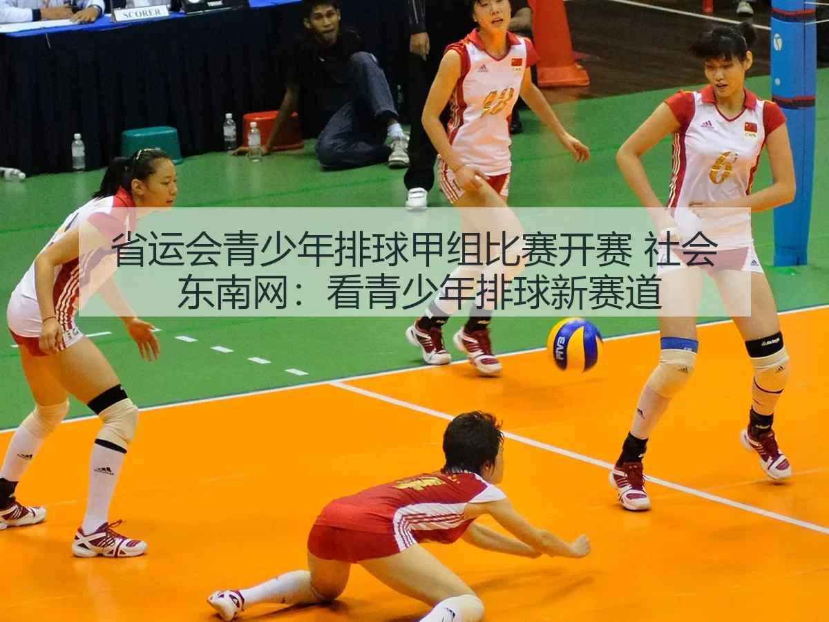 省运会青少年排球甲组比赛开赛 社会 东南网:看青少年排球新赛道